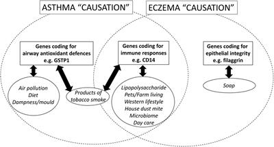 Gene–Environment Interactions—What Can These Tell Us about the Relationship between Asthma and Allergy?